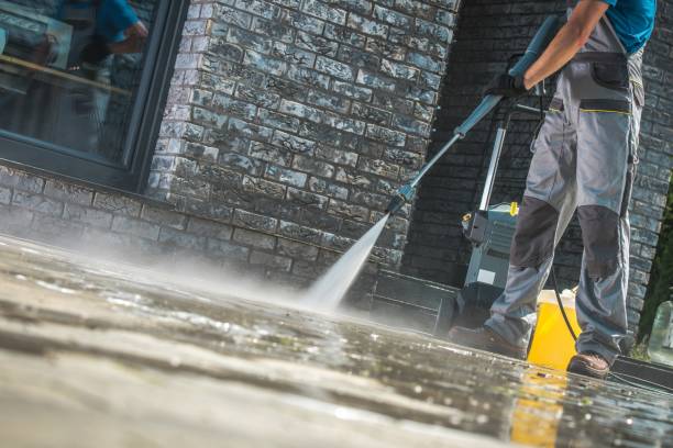Best Sidewalk and Walkway Cleaning  in Terra Alta, WV