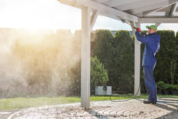Best Patio and Deck Pressure Washing  in Terra Alta, WV